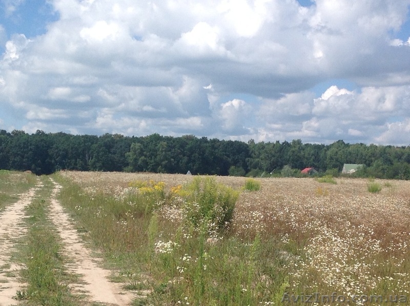 Продам участки, с.Кирово Бориспольский р-н - <ro>Изображение</ro><ru>Изображение</ru> #3, <ru>Объявление</ru> #1019012