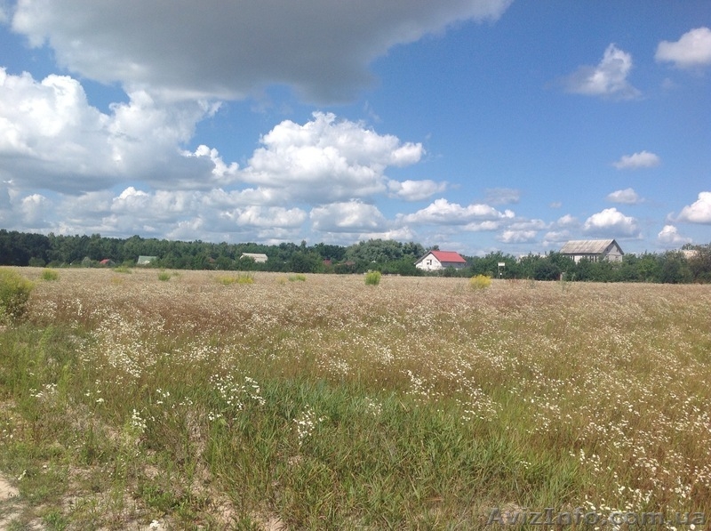 Продам участки, с.Кирово Бориспольский р-н - <ro>Изображение</ro><ru>Изображение</ru> #4, <ru>Объявление</ru> #1019012