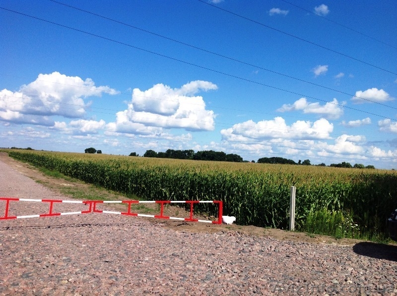 Продам группу земельных участков площадью 20 гектар - <ro>Изображение</ro><ru>Изображение</ru> #1, <ru>Объявление</ru> #1019700