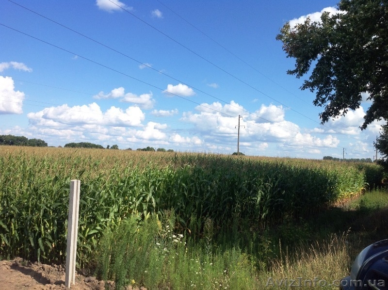 Продам группу земельных участков площадью 20 гектар - <ro>Изображение</ro><ru>Изображение</ru> #2, <ru>Объявление</ru> #1019700