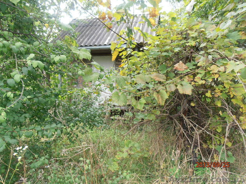 Продам участок в Буче - <ro>Изображение</ro><ru>Изображение</ru> #4, <ru>Объявление</ru> #1026447