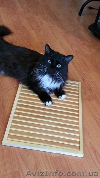 Инфракрасные карбоновые обогреватели - <ro>Изображение</ro><ru>Изображение</ru> #8, <ru>Объявление</ru> #1028875