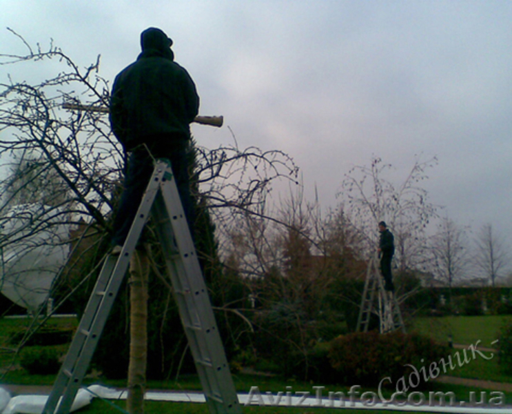 Подготовка сада к зиме - <ro>Изображение</ro><ru>Изображение</ru> #4, <ru>Объявление</ru> #419935