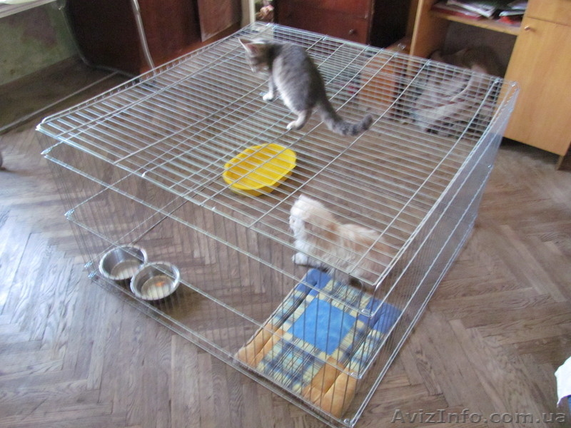 Вольер-манеж для содержания щенков или котят 100х100хh60 см - <ro>Изображение</ro><ru>Изображение</ru> #6, <ru>Объявление</ru> #1034809