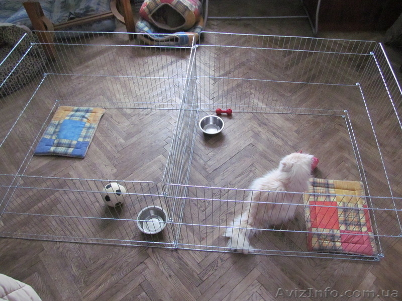 Вольер-манеж для содержания щенков или котят 100х100хh60 см - <ro>Изображение</ro><ru>Изображение</ru> #7, <ru>Объявление</ru> #1034809