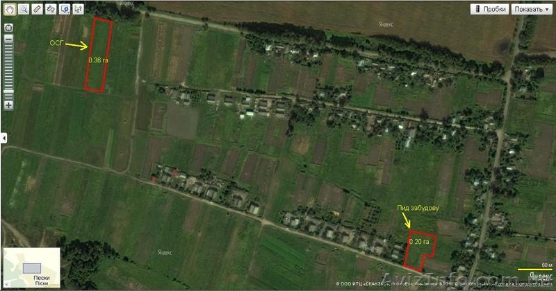 срочно продам 56соток участок Бобровицкий рн  с,Пески - <ro>Изображение</ro><ru>Изображение</ru> #2, <ru>Объявление</ru> #1043190
