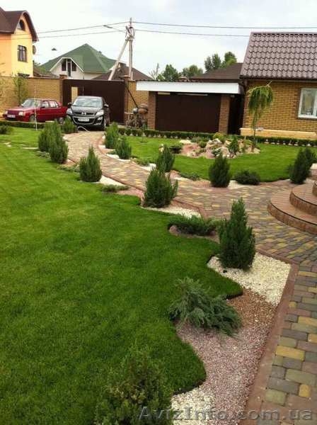 Красивое озеленение Ваших участков в Киеве - <ro>Изображение</ro><ru>Изображение</ru> #2, <ru>Объявление</ru> #1061854