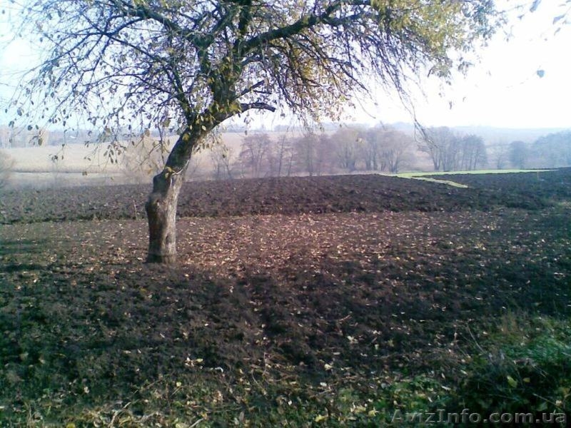 Продам дом с.Бурты, Кагарлык, Киевская область, 30 соток участок - <ro>Изображение</ro><ru>Изображение</ru> #4, <ru>Объявление</ru> #1057894