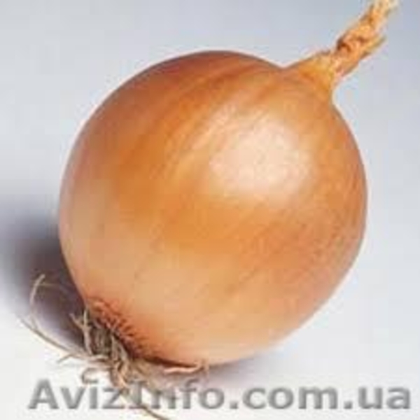 Продам овощи фрукты оптом - <ro>Изображение</ro><ru>Изображение</ru> #1, <ru>Объявление</ru> #1058513