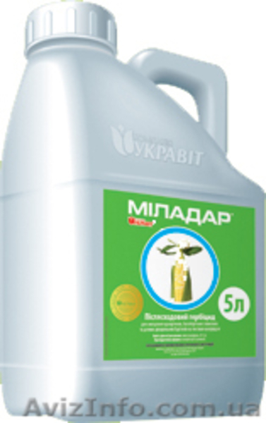 Продам Голд Стар, ВГ (Трибенурон-метил, 750 г/кг) (Гранстар) - <ro>Изображение</ro><ru>Изображение</ru> #1, <ru>Объявление</ru> #1060127