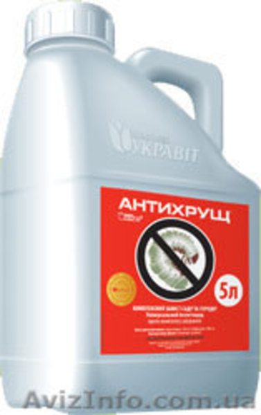 Продам Голд Стар, ВГ (Трибенурон-метил, 750 г/кг) (Гранстар) - <ro>Изображение</ro><ru>Изображение</ru> #3, <ru>Объявление</ru> #1060127