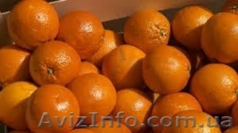 Продам овощи фрукты оптом - <ro>Изображение</ro><ru>Изображение</ru> #2, <ru>Объявление</ru> #1058513