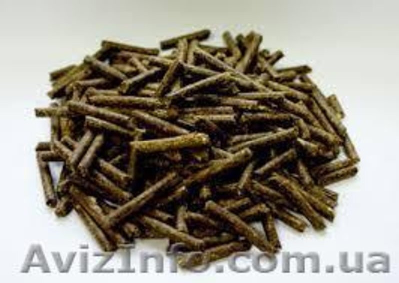 Изготавливаем оборудование для переработки куриного памета, а так же навоза КРС  - <ro>Изображение</ro><ru>Изображение</ru> #3, <ru>Объявление</ru> #1058927