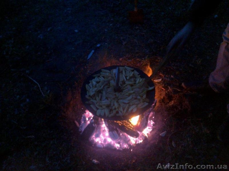 Cковорода из жиска бороны - <ro>Изображение</ro><ru>Изображение</ru> #4, <ru>Объявление</ru> #1073099