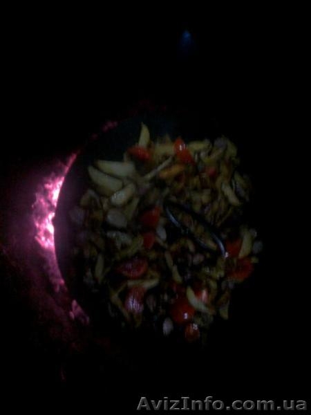 Cковорода из жиска бороны - <ro>Изображение</ro><ru>Изображение</ru> #5, <ru>Объявление</ru> #1073099