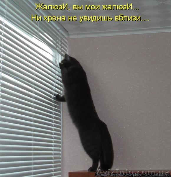 Горизонтальные металлические жалюзи-простота изделия,безотказность работы. - <ro>Изображение</ro><ru>Изображение</ru> #4, <ru>Объявление</ru> #1075992