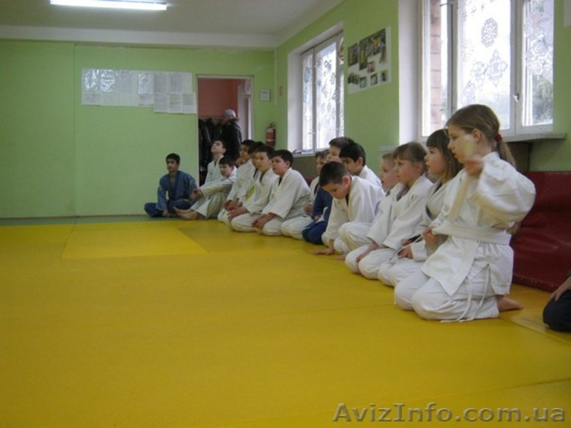 Спортивная секция дзюдо - <ro>Изображение</ro><ru>Изображение</ru> #3, <ru>Объявление</ru> #1068151