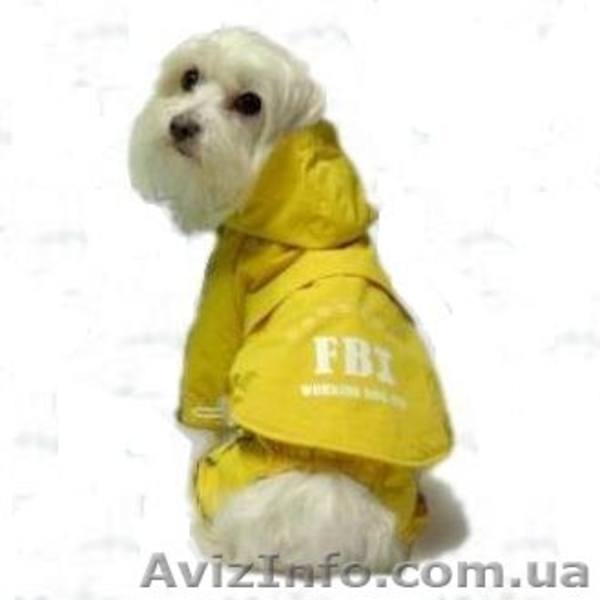 Одежда и товары марки Lovabledog - <ro>Изображение</ro><ru>Изображение</ru> #2, <ru>Объявление</ru> #1075488