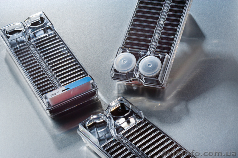 Среды для микробиологии - <ro>Изображение</ro><ru>Изображение</ru> #1, <ru>Объявление</ru> #1076505