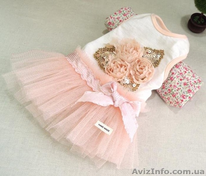 Одежда и товары для собак Dogpose - <ro>Изображение</ro><ru>Изображение</ru> #2, <ru>Объявление</ru> #1069427