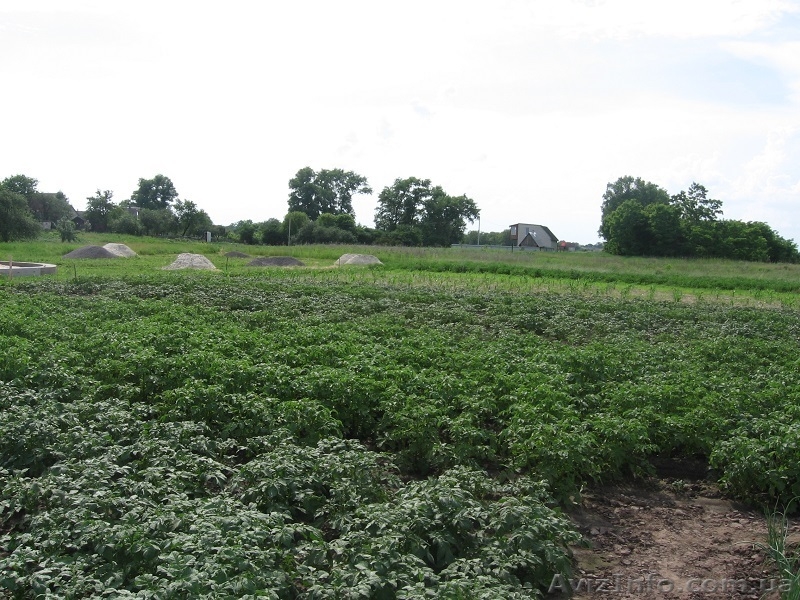 Продам дом в с. Мартусовка, Бориспольский р-н - <ro>Изображение</ro><ru>Изображение</ru> #2, <ru>Объявление</ru> #1097353