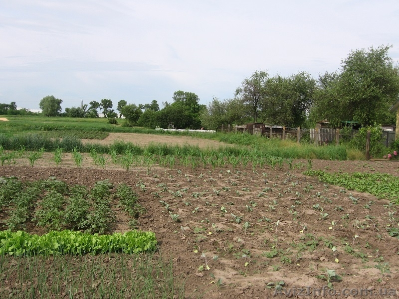 Продам дом в с. Мартусовка, Бориспольский р-н - <ro>Изображение</ro><ru>Изображение</ru> #5, <ru>Объявление</ru> #1097353