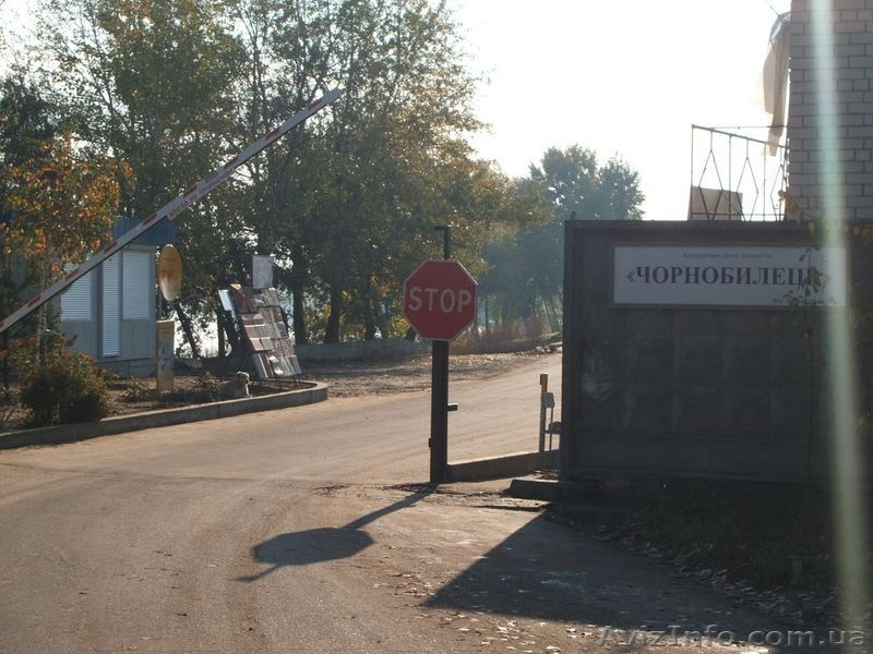 Продаю на Оболони 8и18 СОТОК .БОГОТЫРСКАЯ.Чернобылец 1999 - <ro>Изображение</ro><ru>Изображение</ru> #3, <ru>Объявление</ru> #1091431