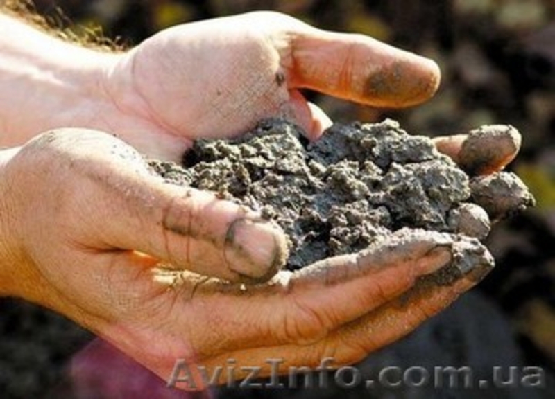 Бетон от Ковальской, с доставкой  - <ro>Изображение</ro><ru>Изображение</ru> #4, <ru>Объявление</ru> #1090644