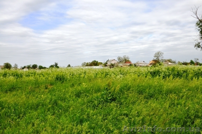 Продам 8 соток в с. Рогозов Бориспольский р-н - <ro>Изображение</ro><ru>Изображение</ru> #1, <ru>Объявление</ru> #1089512