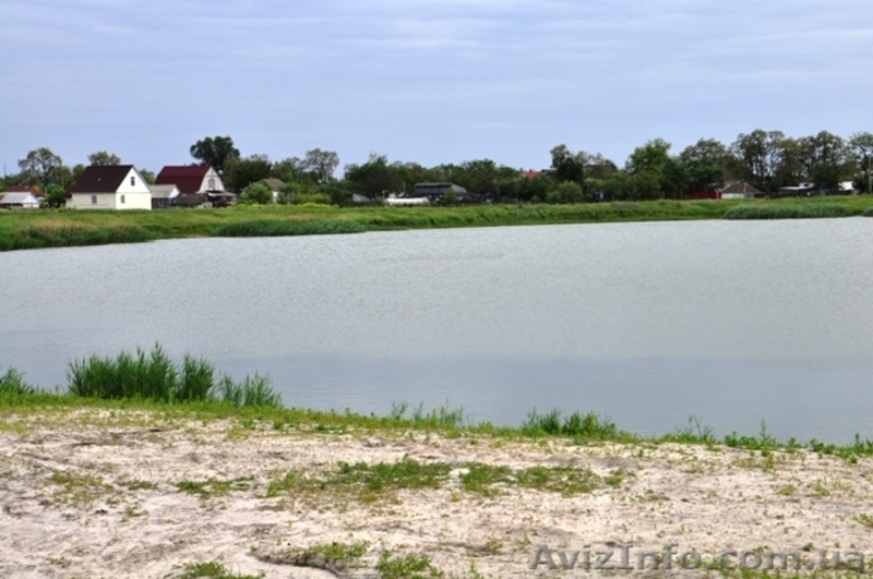Продам 8 соток в с. Рогозов Бориспольский р-н - <ro>Изображение</ro><ru>Изображение</ru> #5, <ru>Объявление</ru> #1089512
