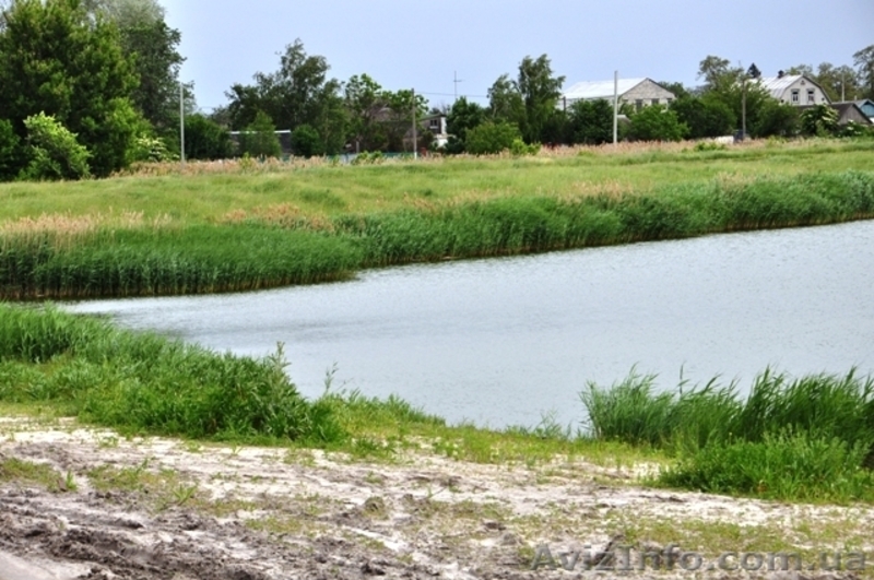 Продам 8 соток в с. Рогозов Бориспольский р-н - <ro>Изображение</ro><ru>Изображение</ru> #6, <ru>Объявление</ru> #1089512