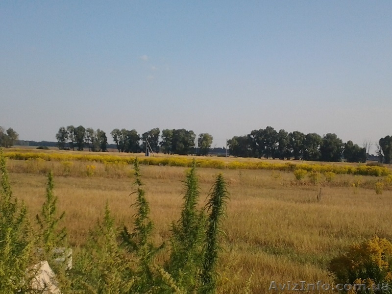 Продам участок 15 соток в c. Процев, Бориспольского р-на - <ro>Изображение</ro><ru>Изображение</ru> #2, <ru>Объявление</ru> #1097348