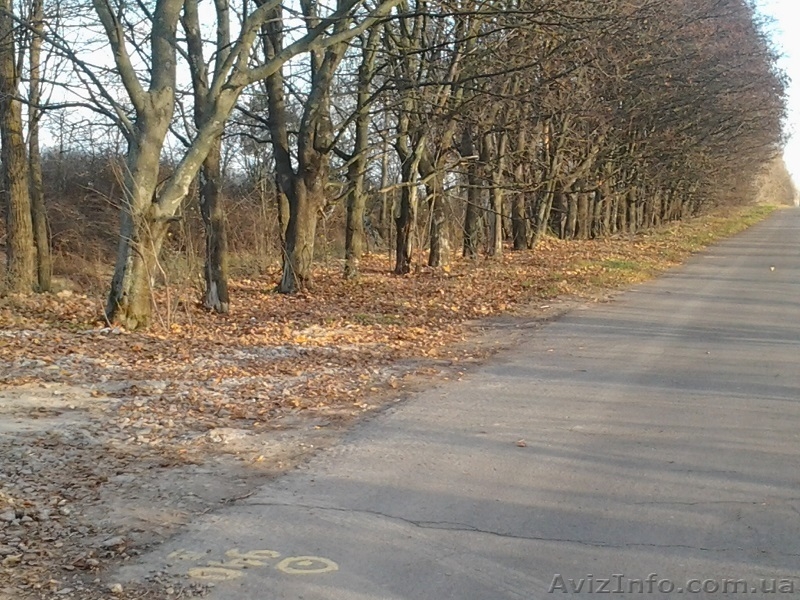 Продам участок в селе Петровское, Бориспольский район, 6 соток - <ro>Изображение</ro><ru>Изображение</ru> #1, <ru>Объявление</ru> #1083932