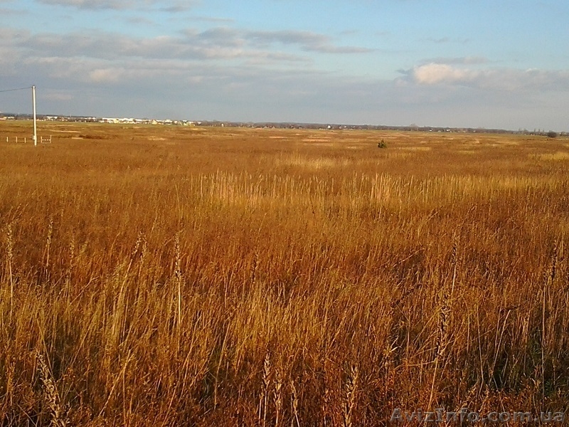 Продам участок в селе Петровское, Бориспольский район.  - <ro>Изображение</ro><ru>Изображение</ru> #4, <ru>Объявление</ru> #1021194
