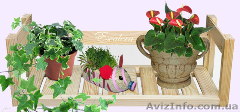 Полка для книг деревянная - <ro>Изображение</ro><ru>Изображение</ru> #5, <ru>Объявление</ru> #922475