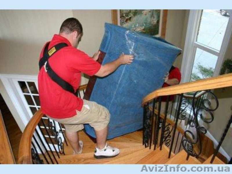 Наши парни справятся с любым грузом! - <ro>Изображение</ro><ru>Изображение</ru> #7, <ru>Объявление</ru> #1098561