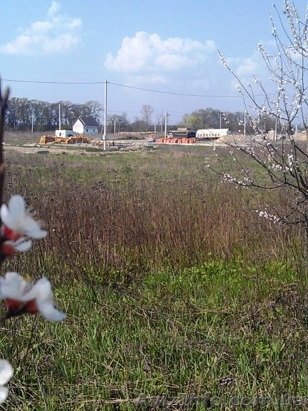 Продам участок в Киевской области селе Петровском. - <ro>Изображение</ro><ru>Изображение</ru> #3, <ru>Объявление</ru> #1102075