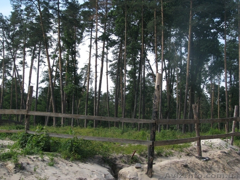 Земля Пуща Водица Оболонь - <ro>Изображение</ro><ru>Изображение</ru> #2, <ru>Объявление</ru> #1054014