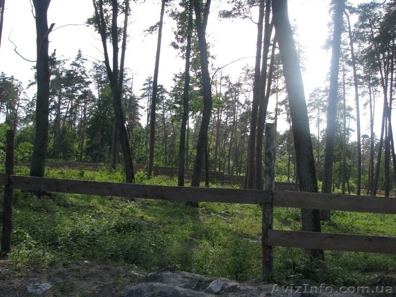 Земля Пуща Водица Оболонь - <ro>Изображение</ro><ru>Изображение</ru> #5, <ru>Объявление</ru> #1054014