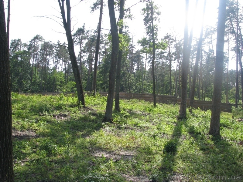 Земля Пуща Водица Оболонь - <ro>Изображение</ro><ru>Изображение</ru> #7, <ru>Объявление</ru> #1054014