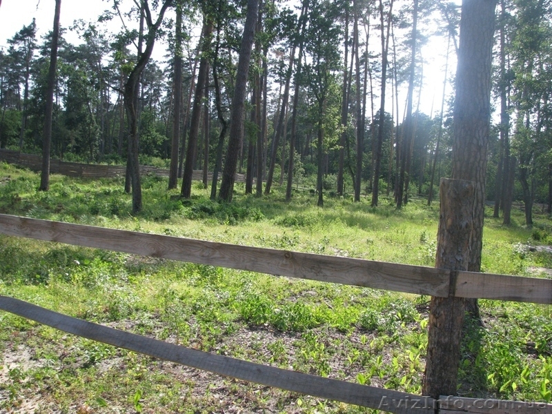 Земля Пуща Водица Оболонь - <ro>Изображение</ro><ru>Изображение</ru> #9, <ru>Объявление</ru> #1054014