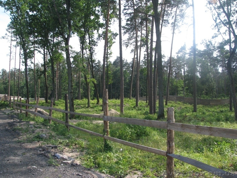 Земля Пуща Водица Оболонь - <ro>Изображение</ro><ru>Изображение</ru> #10, <ru>Объявление</ru> #1054014