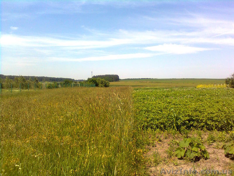 Продам отличный участок на берегу реки рядом с озером  - <ro>Изображение</ro><ru>Изображение</ru> #3, <ru>Объявление</ru> #1105300