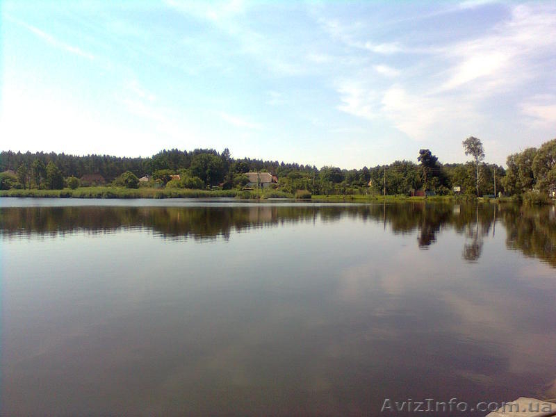 Продам отличный участок на берегу реки рядом с озером  - <ro>Изображение</ro><ru>Изображение</ru> #4, <ru>Объявление</ru> #1105300