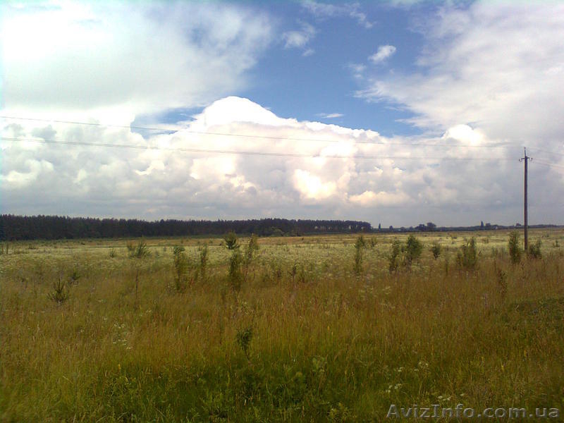 Продам хороший участок в 60 км от Киева за символическую цену - <ro>Изображение</ro><ru>Изображение</ru> #1, <ru>Объявление</ru> #1105304