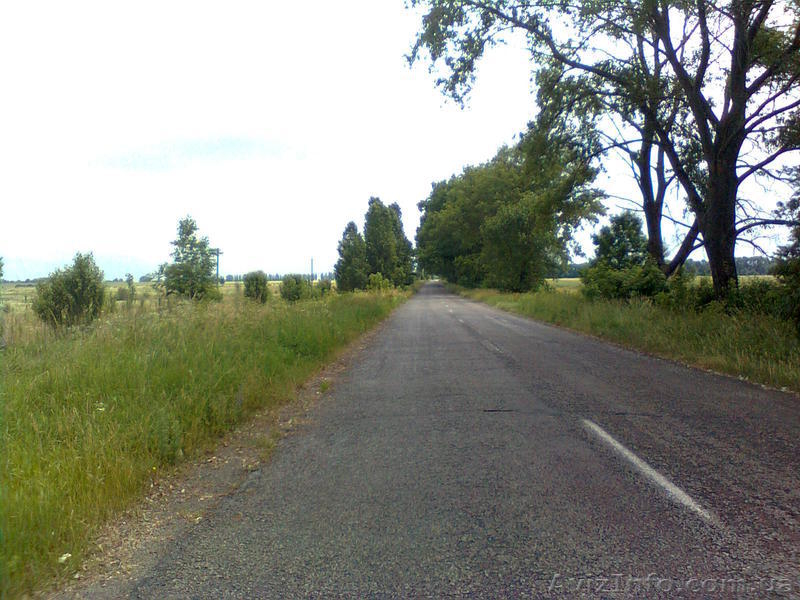 Продам хороший участок в 60 км от Киева за символическую цену - <ro>Изображение</ro><ru>Изображение</ru> #2, <ru>Объявление</ru> #1105304