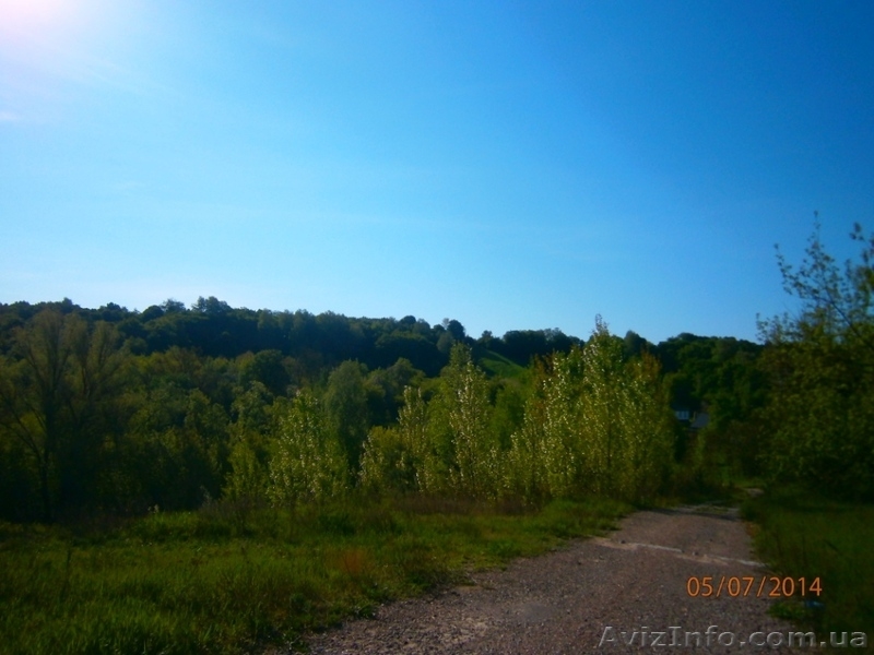 Продам 4 участка в сосновом лесу по 20 сот в с. Зозули, Васильковский район - <ro>Изображение</ro><ru>Изображение</ru> #3, <ru>Объявление</ru> #1118074