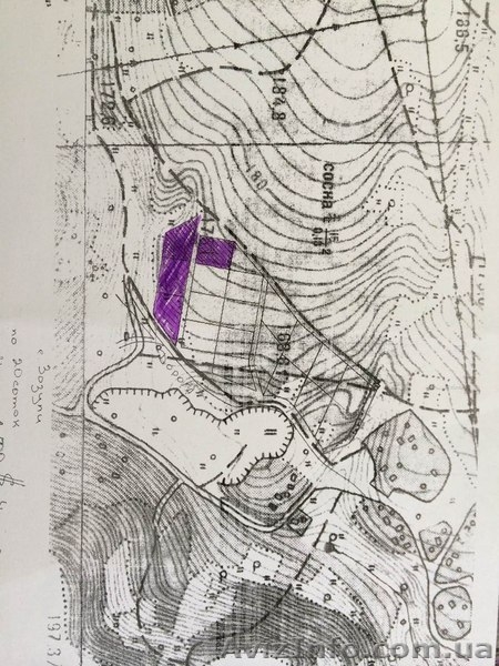 Продам 4 участка в сосновом лесу по 20 сот в с. Зозули, Васильковский район - <ro>Изображение</ro><ru>Изображение</ru> #7, <ru>Объявление</ru> #1118074