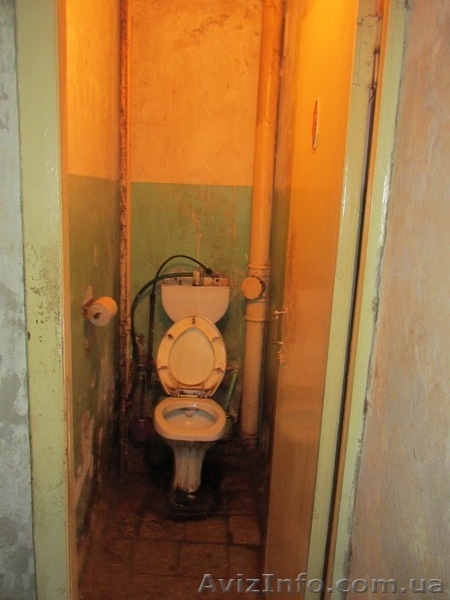 Броварский р-н, с. Старое - <ro>Изображение</ro><ru>Изображение</ru> #7, <ru>Объявление</ru> #1123938