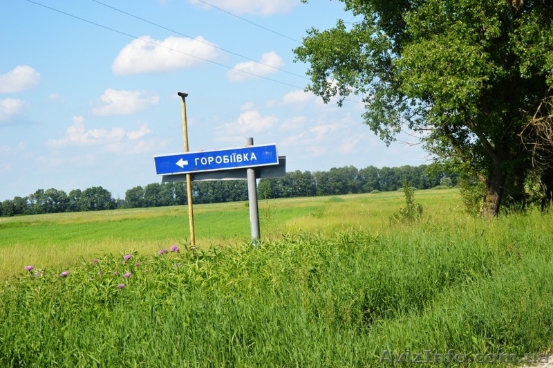 Бориспольском районе ,продам участок 10 соток, для дачи. - <ro>Изображение</ro><ru>Изображение</ru> #5, <ru>Объявление</ru> #1127837